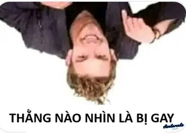 meme bất mãn gay