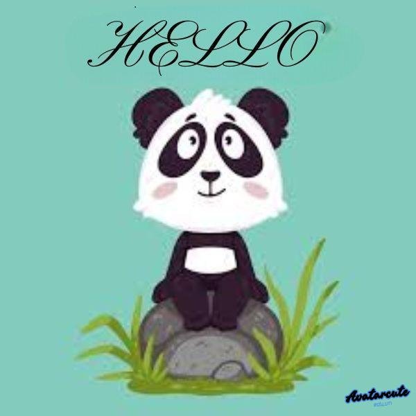 meme con gấu trúc