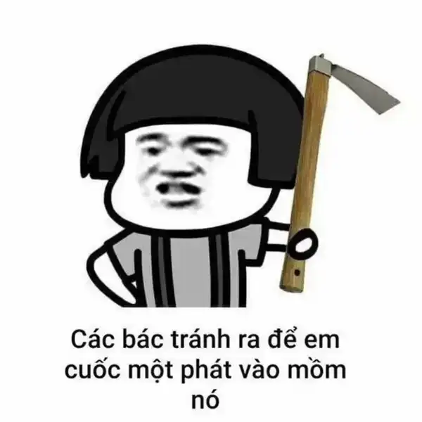 meme đánh nhau