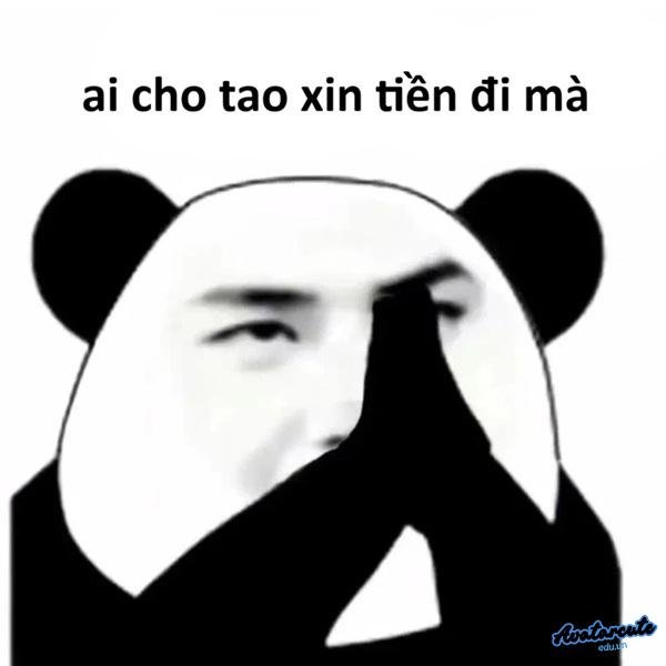 meme đưa hết tiền đây