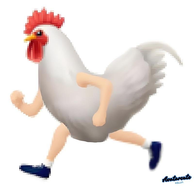 meme gà chạy bộ