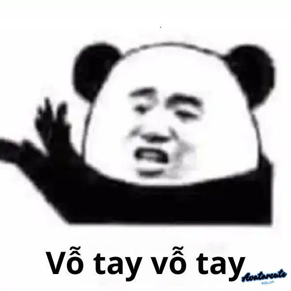 meme gấu trúc bựa