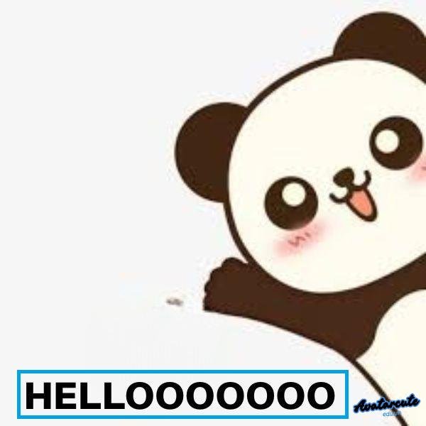 meme gấu trúc he lo