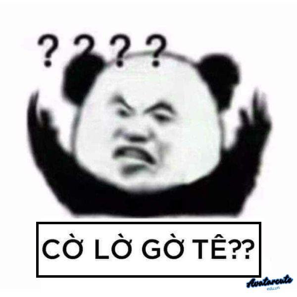 meme gấu trúc hỏi chấm