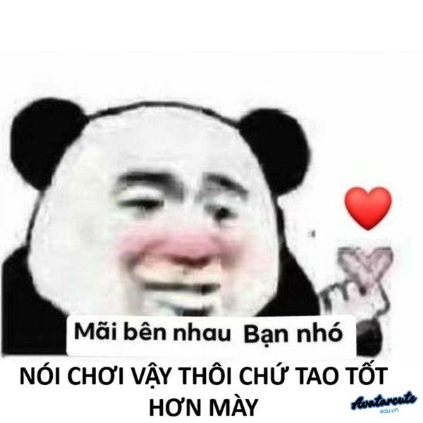 meme gấu trúc khóc