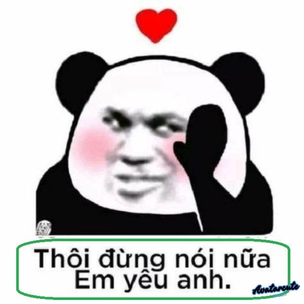 meme gấu trúc thôi