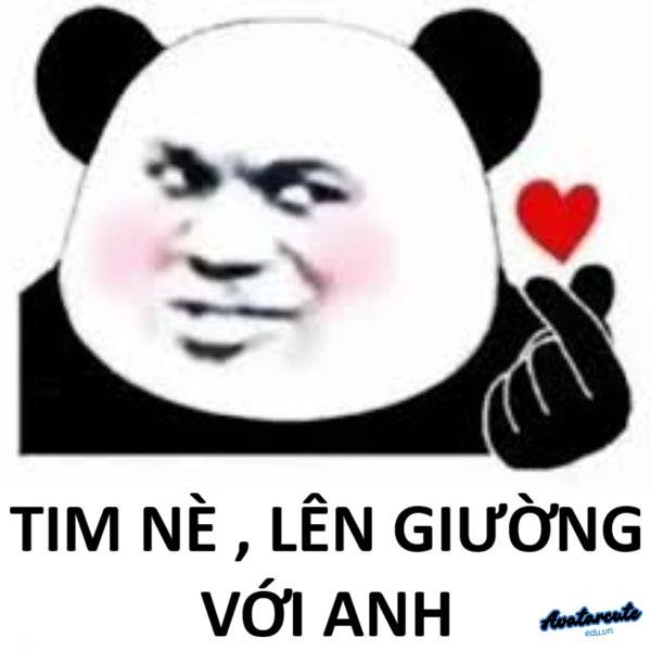 meme gấu trúc tim nè