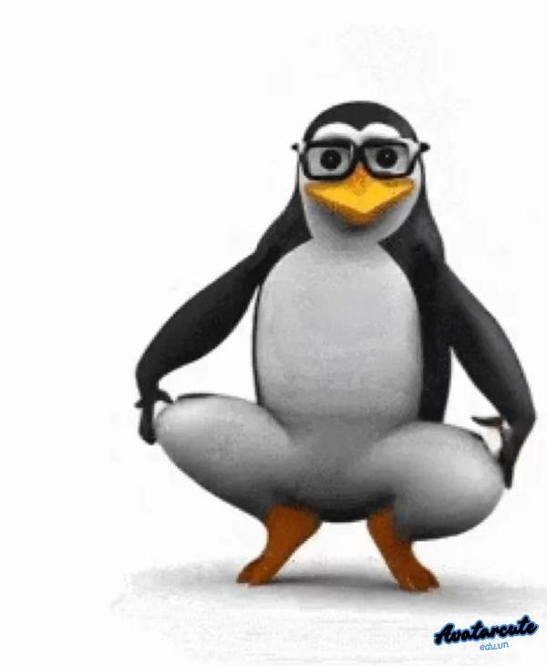 meme gif chim cánh cụt