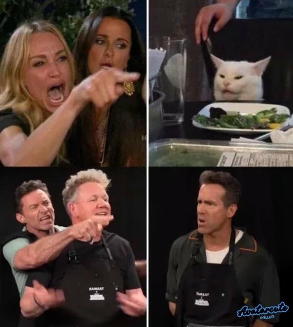 meme gordon ramsay bao mặn