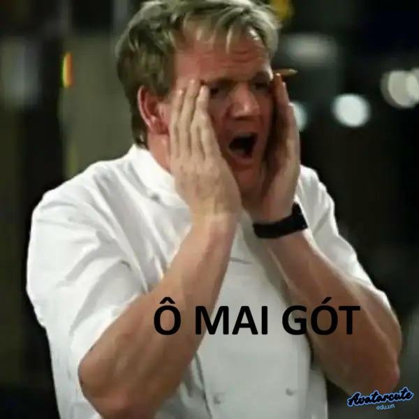 meme gordon ramsay bất lực