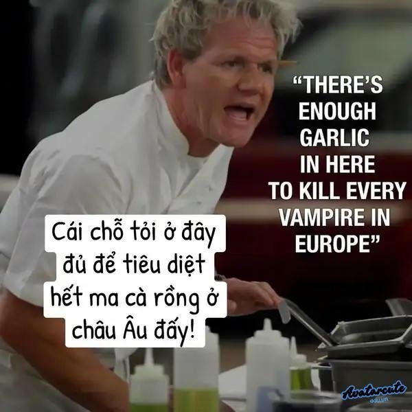 meme gordon ramsay buồn cười