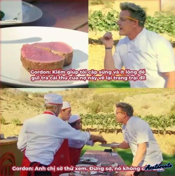 meme gordon ramsay chửi người