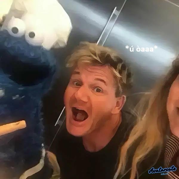 meme gordon ramsay hài hước