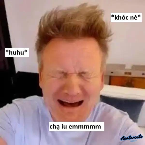 meme gordon ramsay khóc