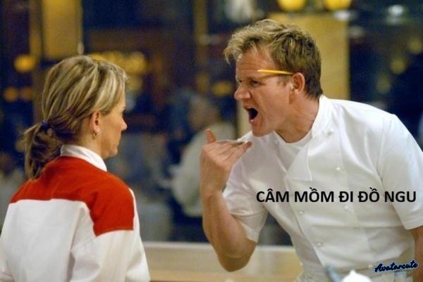 meme gordon ramsay mắng thí sinh