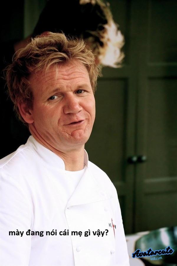 meme gordon ramsay tấu hài