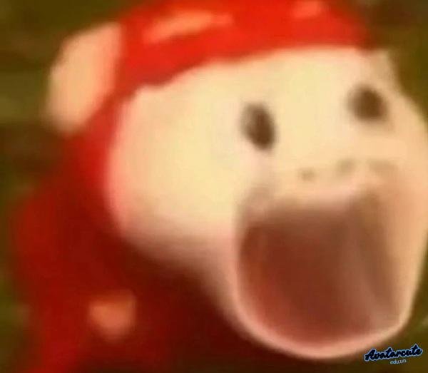 meme hết hồn anime