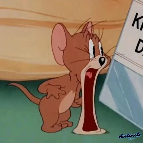 meme hết hồn chuột há mồm