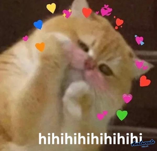 meme hihi cute