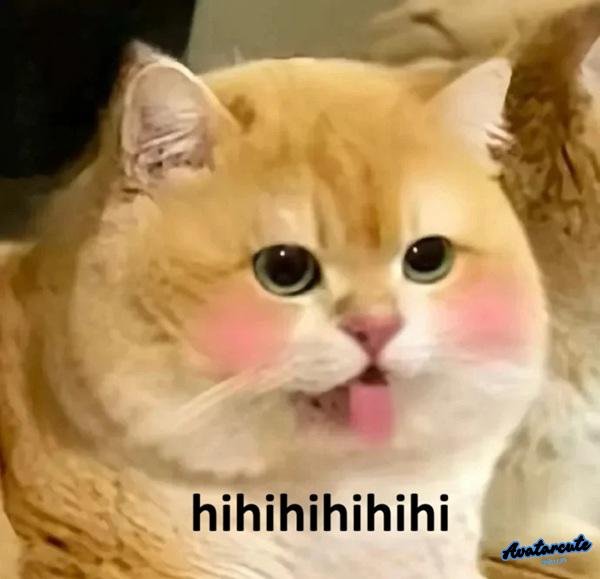 meme hihi đáng iu