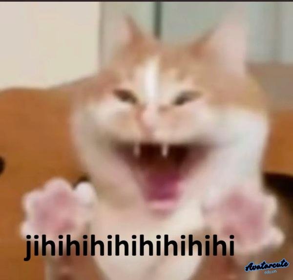 meme hihi mèo