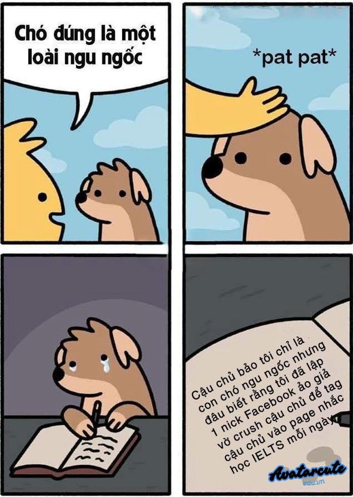 meme hoạt hình bưa