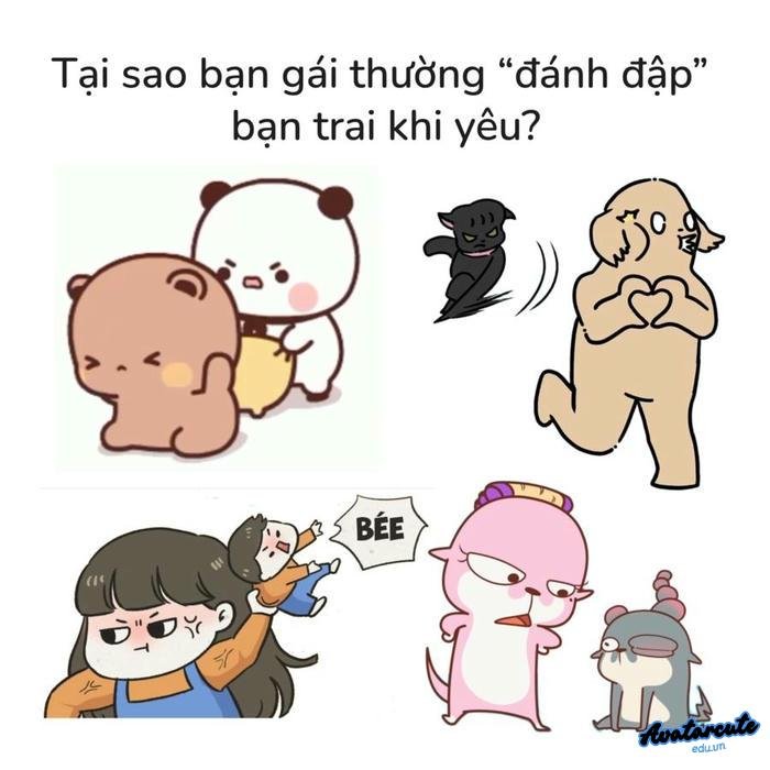 meme hoạt hình gấu