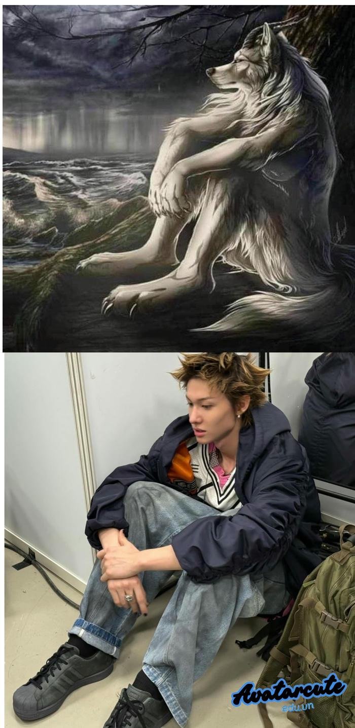 meme hoạt hình sói cô độc