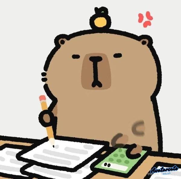 meme học bài capybara
