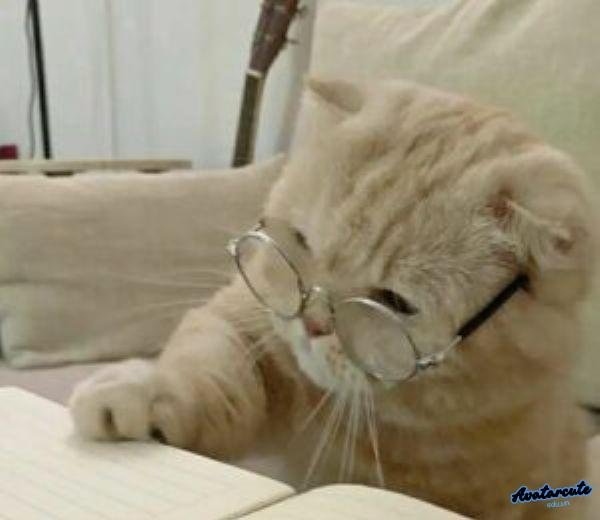 meme học bài chưa