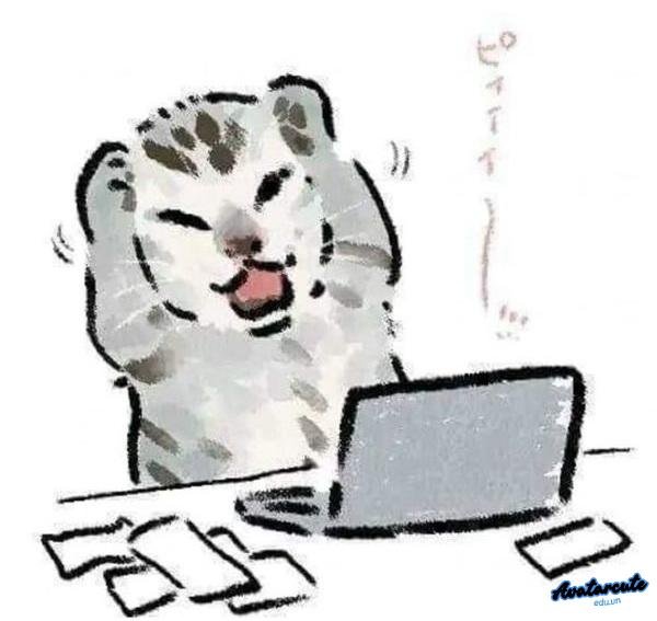 meme học bài đến điên