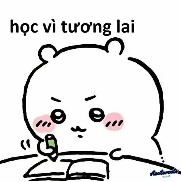 meme học bài học vì tương lai