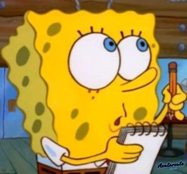 meme học bài phô mai