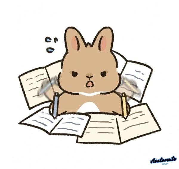 meme học bài thỏ