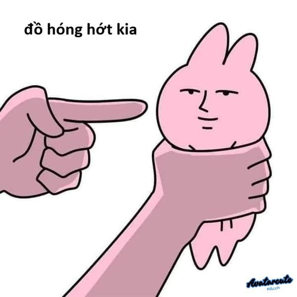meme hóng dài cổ