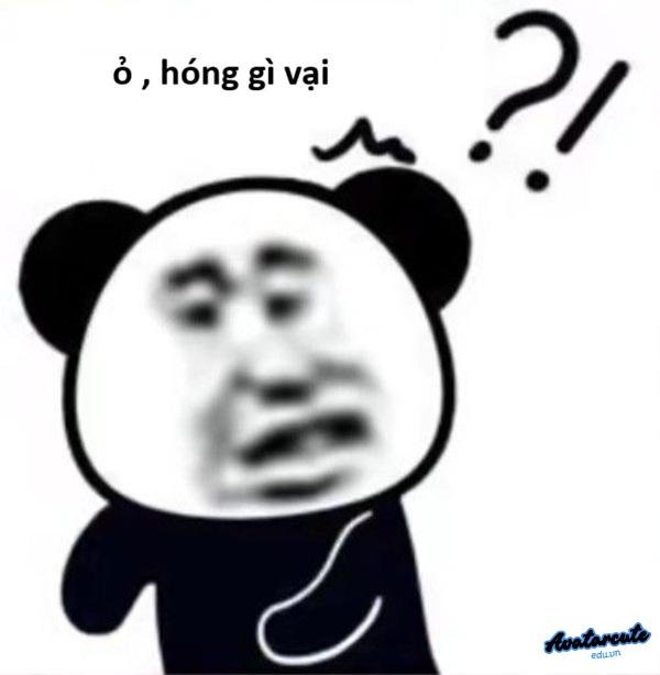 meme hóng gì vại