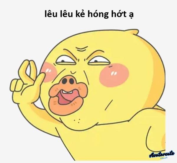 meme hóng vịt vàng