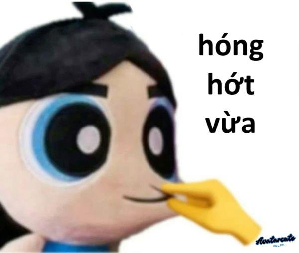 meme hóng