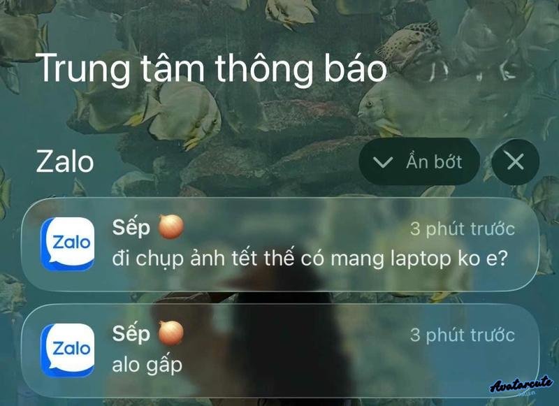 meme hot sếp