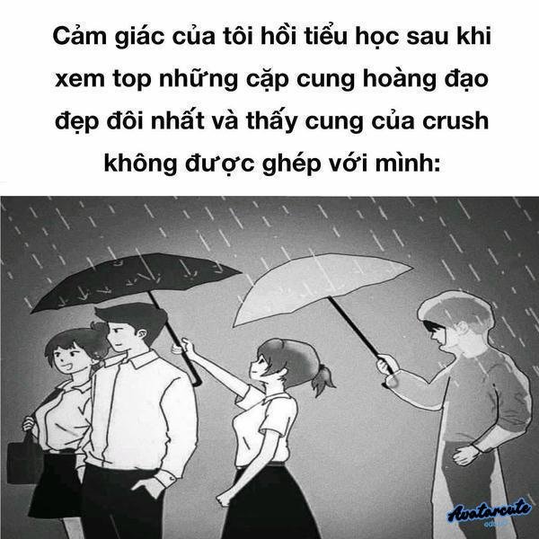 meme sầu đời