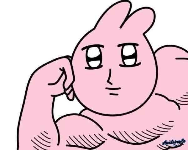 meme thỏ cơ bắp