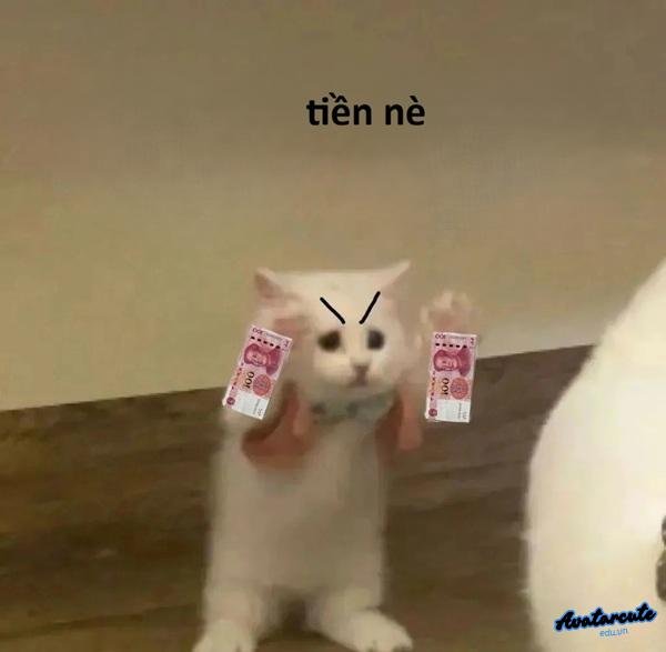 tiền nè