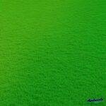 199+ Hình nền cỏ siêu cute cho điện thoại, máy tính