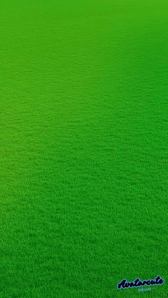 Album hình nền cỏ độc quyền