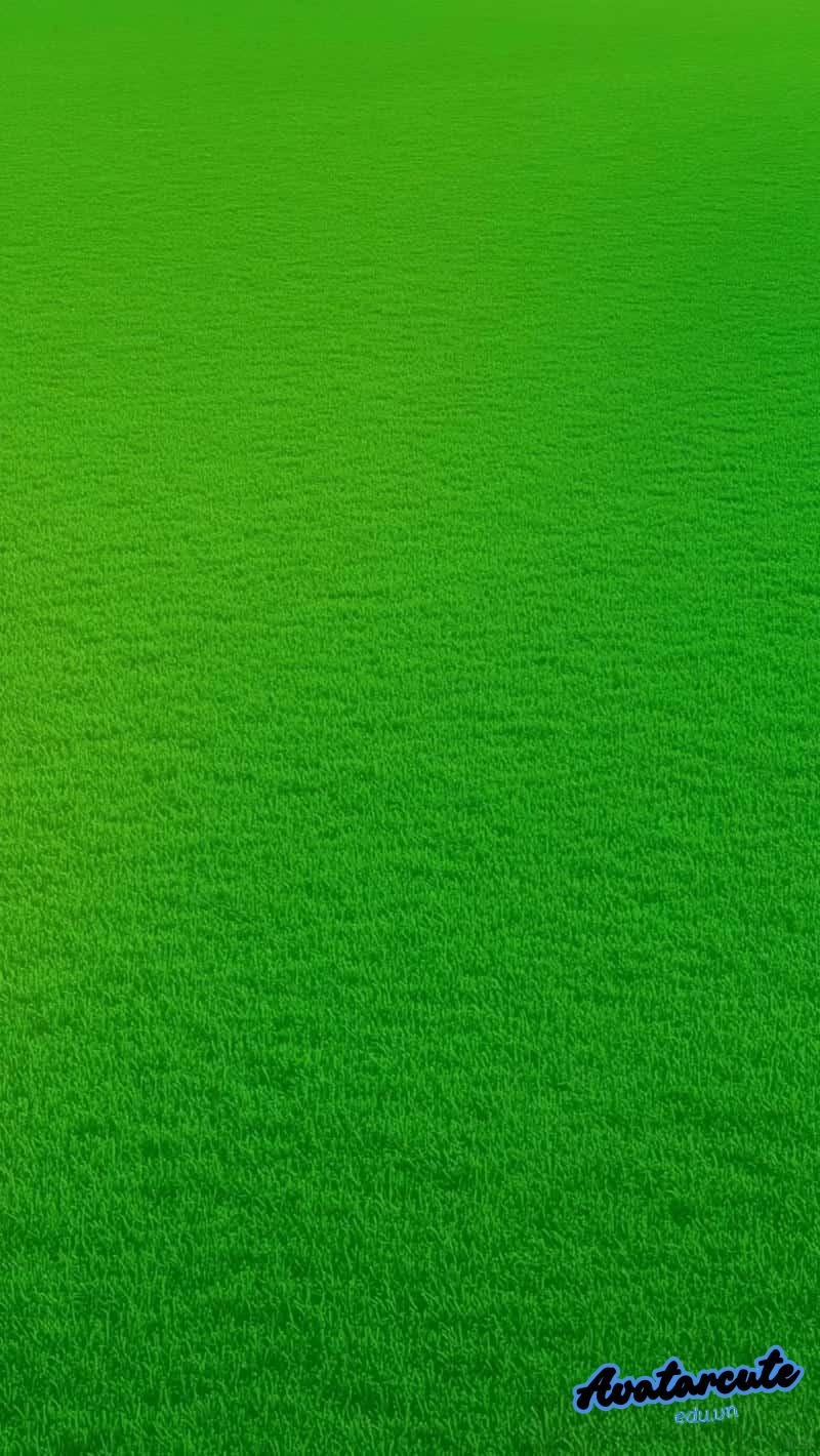 Album hình nền cỏ độc quyền