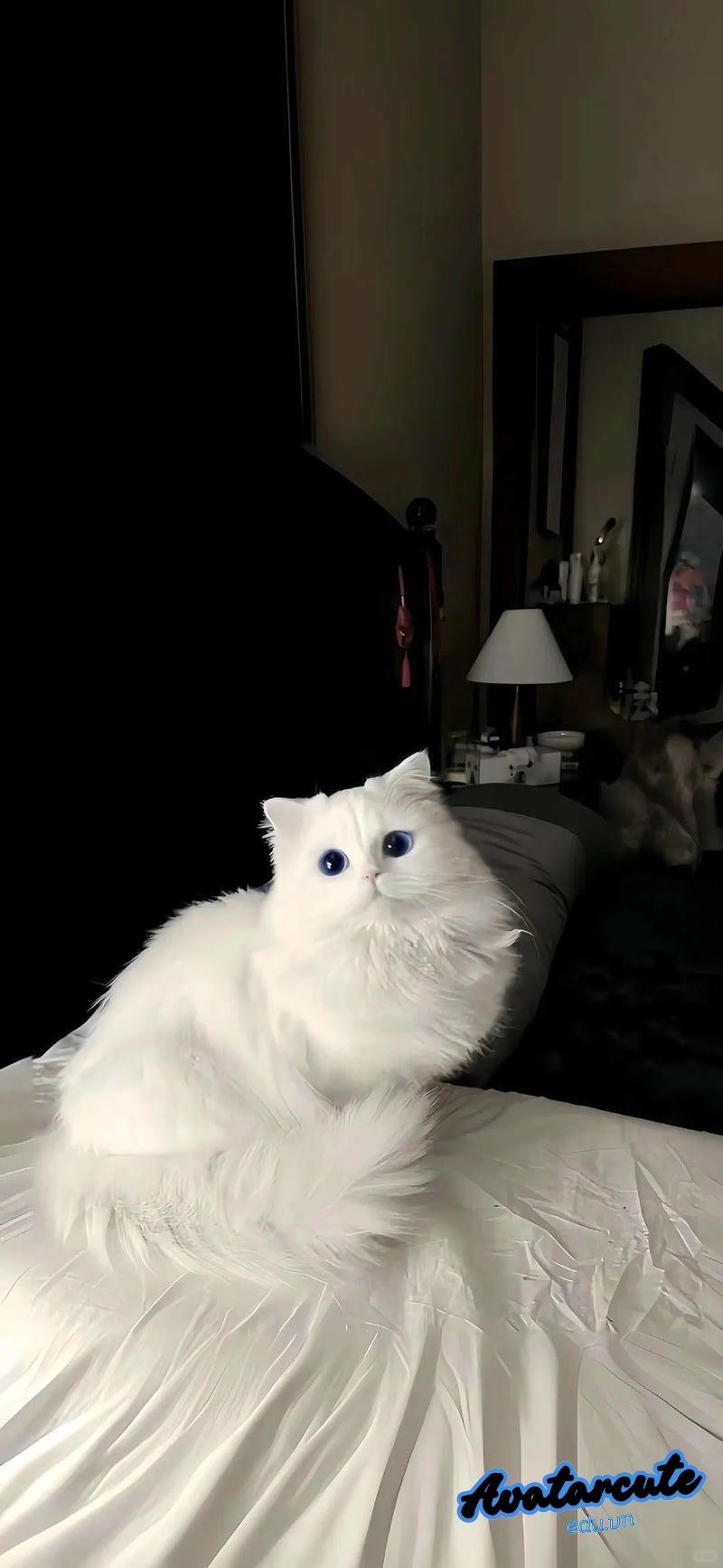 Album hình nền con vật mới nhất