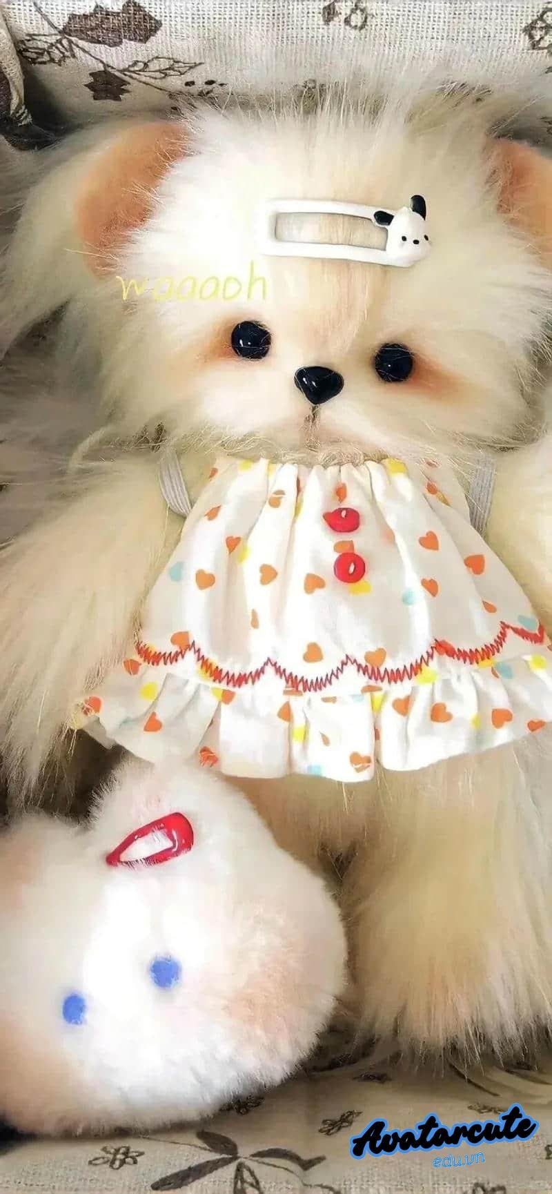 Album hình nền con vật mới