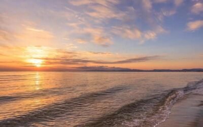 Album hình nền đại dương độc quyền