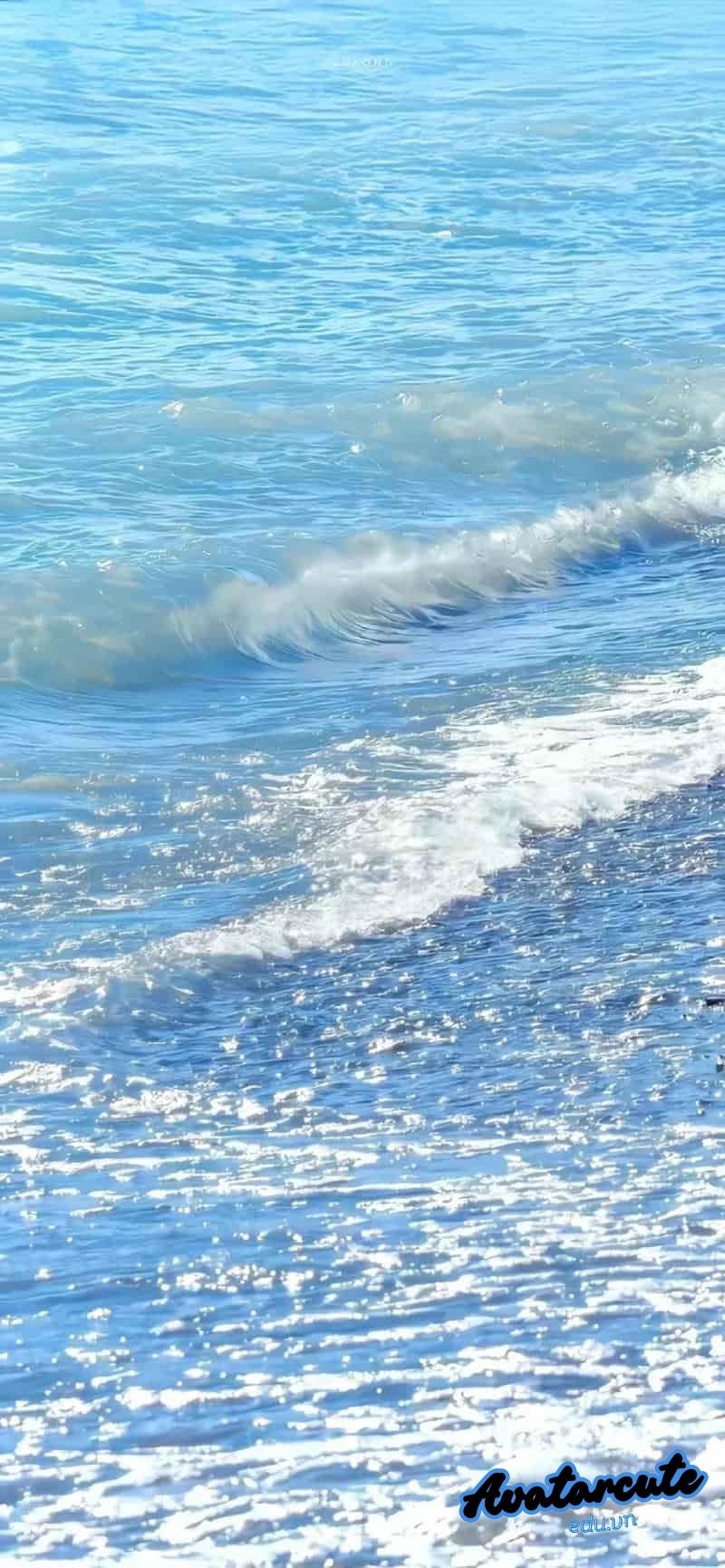 Album hình nền đại dương mới