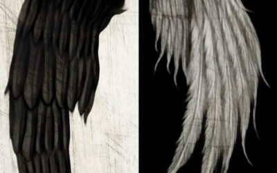 Album hình nền đen trắng độc quyền